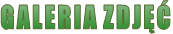 GALERIA ZDJĘĆ