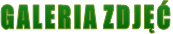 GALERIA ZDJĘĆ